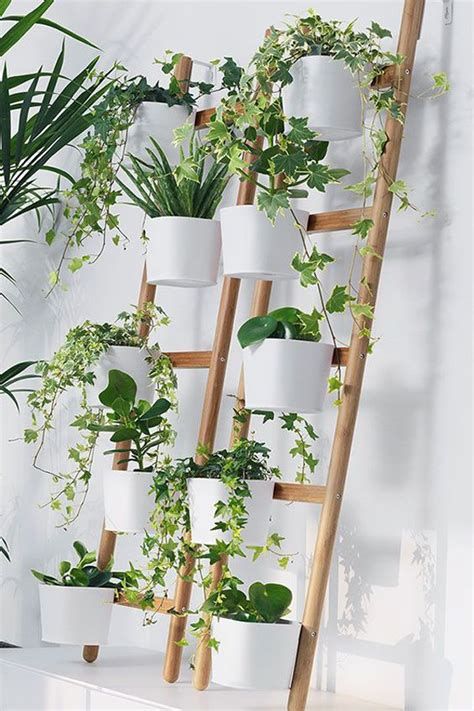 diy ikea ladder plant setting  indoor homemydesign