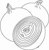 Cebola Onion Legume Onions Tudodesenhos sketch template