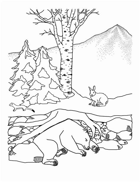 coloring pages hibernating animals awesome animals  winter bear hibernating coloring nature