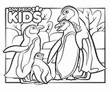 Coloring Kids Penguins Penguin Diego San Zoo African Family sketch template