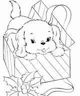 Coloring Small Dog Box Pages Kids Cute Animal Coloriage Puppy Un Imprimer Chien Gratuit Present Colorier Chiot Puppies Clipart Tableau sketch template