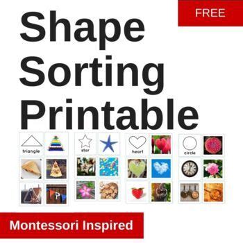 shape matching printable montessori inspired cards  montessori nature