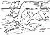 Dinosaurier Malvorlagen Malvorlage Ausmalen Ichthyosaurus sketch template