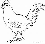 Chicken Coloring Pages Wing Sketch Animals Template sketch template