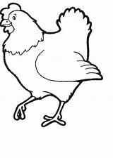 Coloring Chicken Pages Kids Popular sketch template