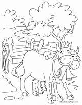 Coloring Pages Bull Bulls Kids Printable Ferdinand Cart Chicago Smiling Two Bullock Getcolorings Colouring Drawing Ambulance Children Easy Choose Board sketch template