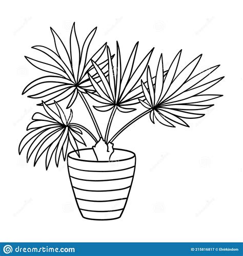vector potted houseplant coloring page stock vector illustration