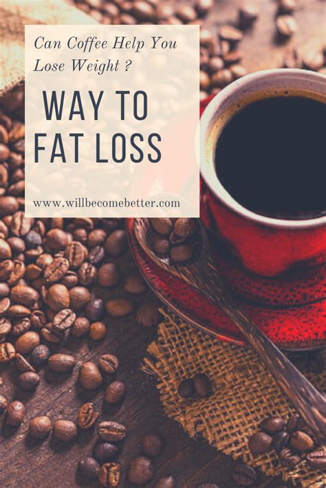 pin  lose belly fat