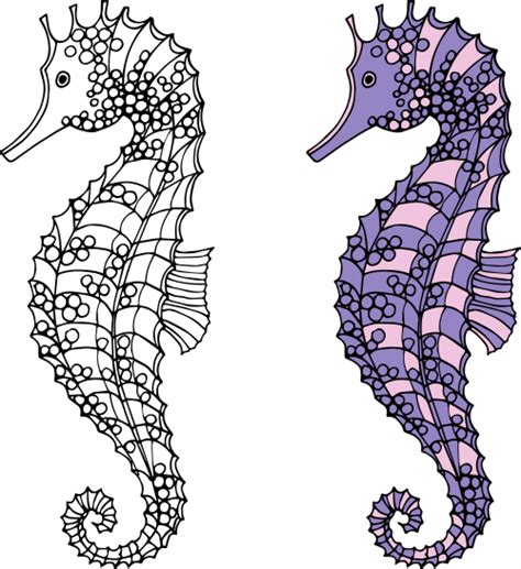 seahorses coloring page kidspressmagazinecom