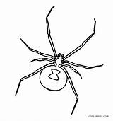 Spider Coloring Pages Widow Drawing Sheet Printable Halloween Kids Web Cool2bkids Getdrawings sketch template