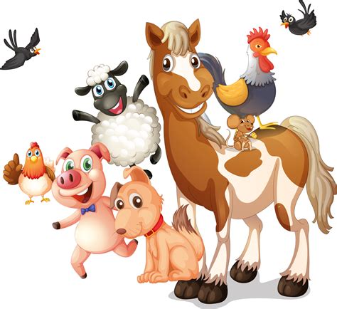 farm livestock illustration vector cartoon animals png