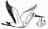 Storch Bringt Malvorlage Malvorlagen sketch template