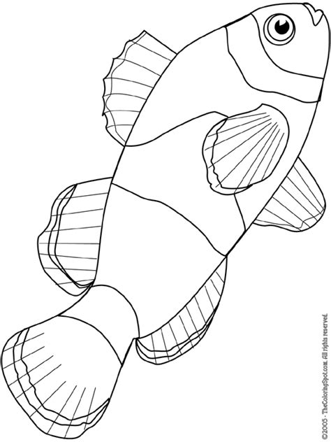 clownfish coloring page audio stories  kids  coloring pages