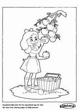 Coloring Pages Picking Kids Fruits Girl Kidloland Printable sketch template