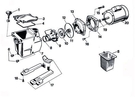 hayward pool pump motor parts diagram reviewmotorsco
