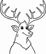 Elk Coloring Antler Drawing Kids Getdrawings Printable sketch template