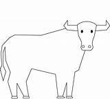 Bull Coloring Kids Pages Drawing Getdrawings sketch template