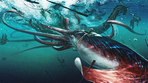 find  giant squid wbur news