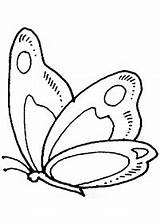 Farfalla Rama Farfalle Leptir Bojanke Leptira Slike Mewarna Crtanje A01 Kertas Halaman Stampare Haiwan Butterflies Kanak Nazad Kidipage sketch template