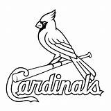Cardinals Cardinal Stl Fredbird Louisville Clipartkey Monochrome Vhv Pngfind Oncoloring Pngitem sketch template
