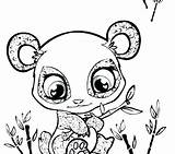 Panda Cute Baby Drawing Pages Coloring Getdrawings sketch template
