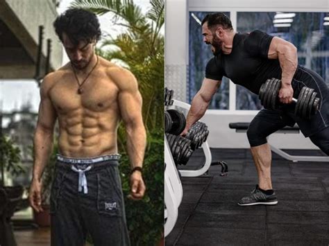 bodybuilding lean  muscular learn  type  body  easy   india news republic