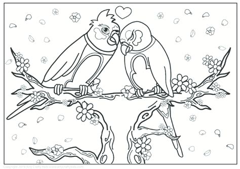 love birds colouring page  arty crafty kids