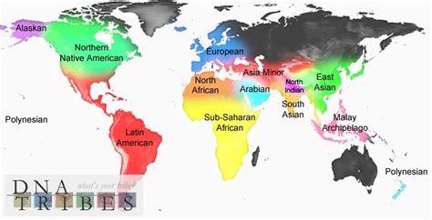 world genetic regions map