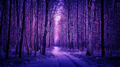 purple winter forest p laptop full hd wallpaper hd