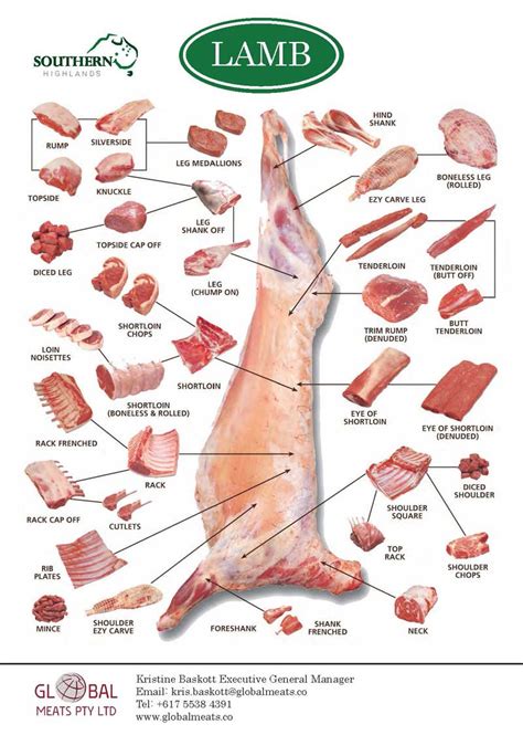 sheep cuts  meat chart uvmaty