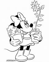 Minnie Mouse Coloring Pages Flowers Disneyclips Misc Activities Potted Carrying sketch template
