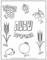 Hebrew Shavuot Planerium sketch template