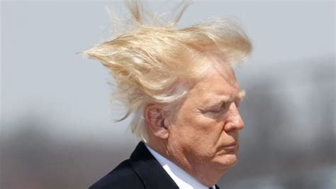 answer  trumps hair  blowing   wind  real