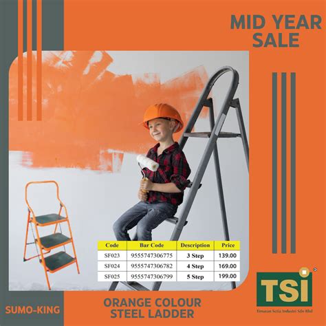 sumo orange colour steel ladder