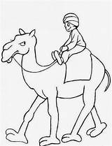 Coloring Kids Camel Pages Egyptian Theme Camels Preschool Kindergarten sketch template