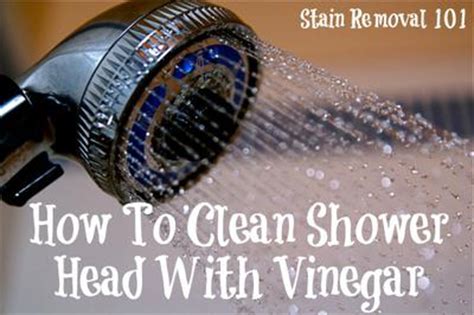 clean shower head  vinegar