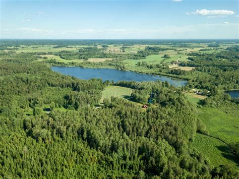 drone image country lake surrounded  pine forest  fields  stock image image  season