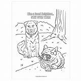 Grumpy Coloring Cat Pages Designlooter Colouring Getdrawings Getcolorings sketch template
