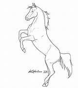 Horse Rearing Coloring Pages Sketch Drawings Lineart Outline Horses Pencil Deviantart Drawing Arabian Animals Stallion Color Print Mustang Step Clip sketch template