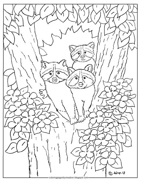 coloring pages  kids   adron baby raccoons   tree coloring