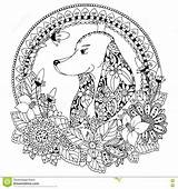 Coloring Zen Dog Doodle Round Book Illustration Vector Tangle Stress Adults Anti Floral Frame Dreamstime Preview sketch template