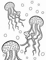 Jellyfish Coloring Pages Adult Vector Illustrations Royalty sketch template