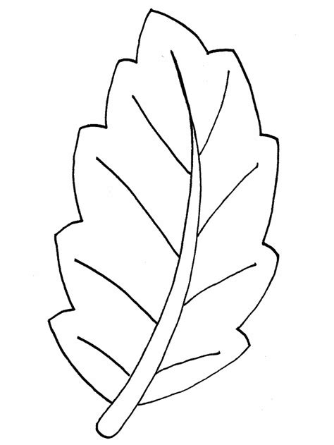 leaf shapes colouring pages page
