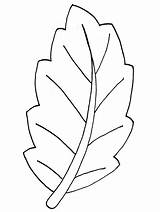 Coloring Pages Leaf Palm Leaves Printable Kids Gif sketch template
