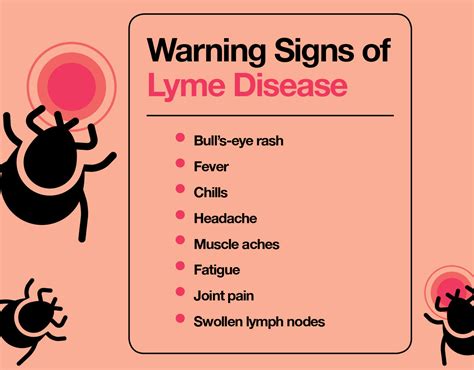 How To Treat Lyme Disease Your Complete Guide – The Amino Company