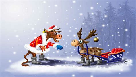 funny christmas hd wallpapers  iphone   hd