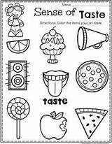 Senses Worksheet Preschool Five Kindergarten Taste Sense Worksheets Kids Activities Planningplaytime Coloring Pages Planning Theme Smelling Playtime Board Body Crafts sketch template