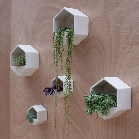 plantenhanger voor aan de muur inspiraties showhomenl