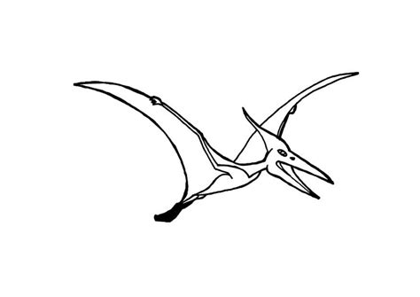 kleurplaat pterosaurus gratis kleurplaten om te printen afb