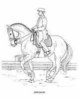 Disciplines Horses sketch template